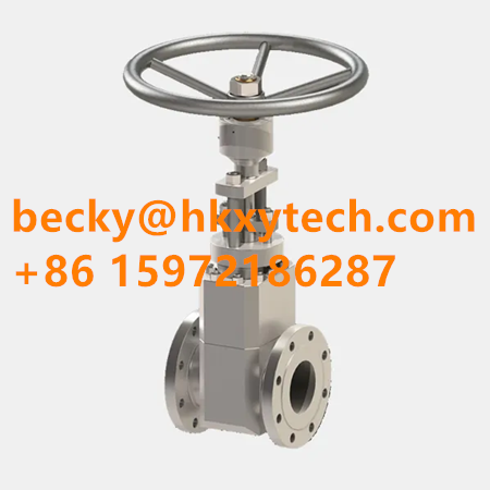 BAF Globe Valve (standard) BAF Valve BAF Globe Valve (standard) BAF Valve