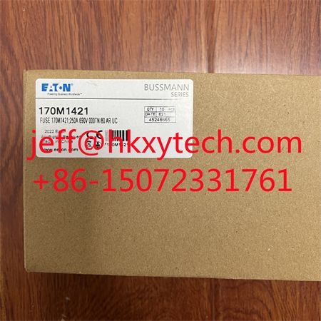 170M1421.JPG